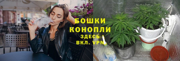 ешки Богородицк