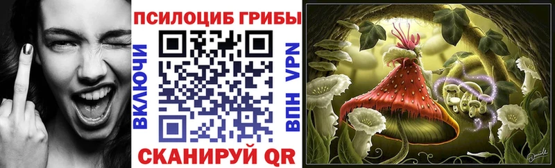 Псилоцибиновые грибы Cubensis mega ССЫЛКА Саяногорск